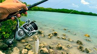 The Easiest Way to Catch Snook in Florida? Live Bait Test
