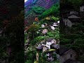 【航拍中国】 屋旁小河，门前老树，村后大山，这就是小时候老家的样子！ shorts shorts chinese 中国 航拍中国