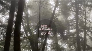 火車小旅行 ｜嘉義阿里山森林鐵路小火車｜阿里山站到神木站小火車