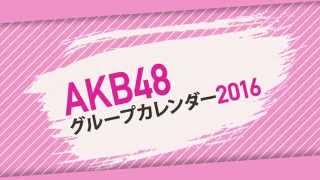 ＡＫＢ４８グループ　オフィシャルカレンダー２０１６