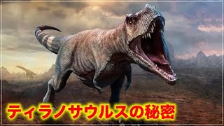 ティラノサウルス大解剖！実は◯◯だった。