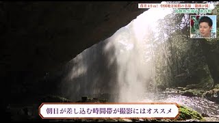 【島根県雲南市の旅】緑豊かな大自然に触れ、「和のスパイス」の魅力に出会う旅