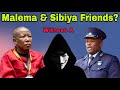 Witness A says Julius Malema and General Sibiya are Friends at Madlanga Commission.