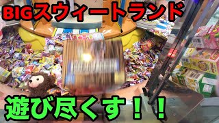 巨大筐体BIGスウィートランドで遊び尽くす計画【クレーンゲーム】claw machine