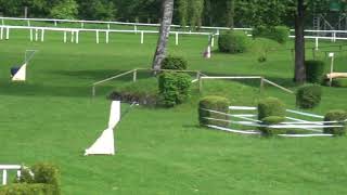 Coursing Argovia 2018 Podenco Solo 1  Lauf