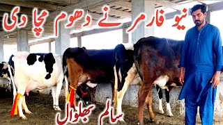 Salam Bhalwal | Cross Breed Cow | Australian Cholistani Cross | Jersey || Global Village Farming