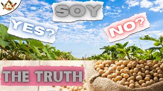 SOY - What You Need To Hear About Soybeans, Edamame and Tofu