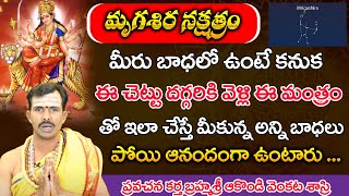 మృగశిర నక్షత్రం - మీరు బాధలో ఉంటే కనుక ఈ చెట్టు దగ్గరికి వెళ్లి ఈ | Mrigashira Nakshatra | Nilayam