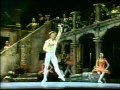 Don Quixote ABT 1983 Mikhail Baryshnikov Basilo Variation Act3