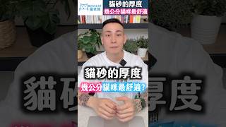 貓砂的厚度｜加多少貓砂對貓咪最好?