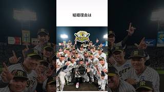 【阪神】木浪聖也に関する驚きの雑学 #雑学 #プロ野球