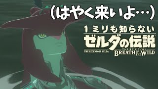 シド王子を３か月放置した勇者／ゼルダの伝説ブレスオブザワイルド #9