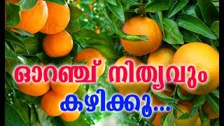 ഓറഞ്ച് നിത്യവും കഴിക്കൂ ... # Malayalam Health Tips Videos # Health Tips # Health Tips Malayalam