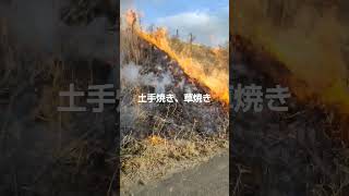 火事！？#農業#土手焼き#草焼き