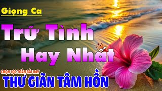 LK Nhạc BOLERO Trữ Tình Cực Êm Tai Dễ Ngủ | Nhạc Vàng Xưa Chọn Lọc Đặc Biệt Hay 2025