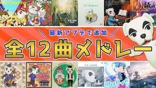 【あつ森】神曲！！アプデで追加されたとたけけの新曲全12曲メドレー！【あつまれどうぶつの森】