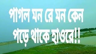 হাওর || নেত্রকোনার হাওর ||  Haor View || Haor Scene || খালিয়াজুরী |