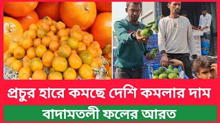 প্রচুর হারে কমছে দেশি কমলার দাম কতো বাদামতলী ফলের আরত | কমলা ফলের পাইকারি দাম | Bazar update