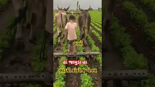 #હા જામુડા હા #varilvideo #shortvideo #ખેડુત પુત્ર 🌾🌾