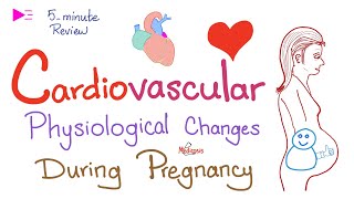 Cardiovascular Physiological Changes During Pregnancy - Obstetrics and Gynecology (Ob.Gyn)