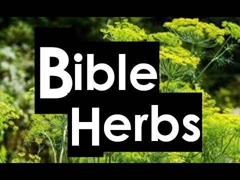 Biblical Herbs - Power Of Herbs In The Bible : Unlocking Their Health ...