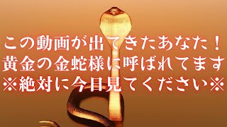 この動画が出てきたあなたは黄金の金蛇様に呼ばれています※絶対に今日見てください※