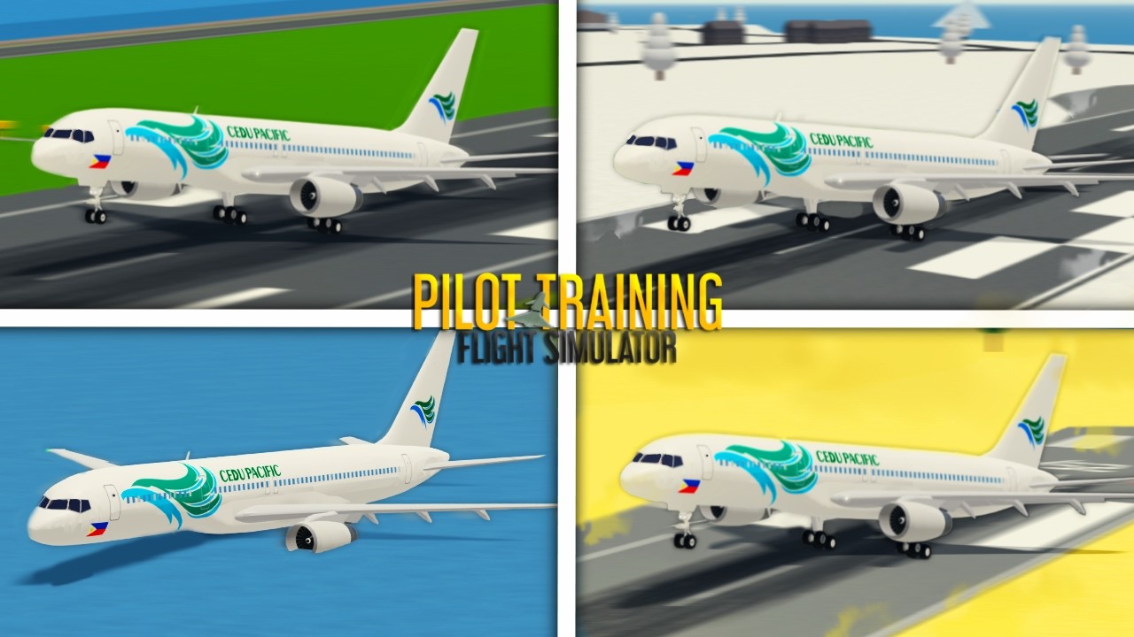 Landing At Every Airport In Ptfs Youtube