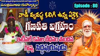 నాడీ వ్యవస్థ కలిగి ఉన్న ఏకైక గణపతి విగ్రహం || ఇటీవలే కపాల బేధనం పొందిన గొప్ప సిద్ధపురుషుడు