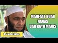 Manfaat Buah Nanas Dan Kayu Manis | dr Zaidul Akbar