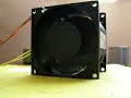 delta electronics gfb0812shs dual fan 7500 6500 rpm 1 2a 5v 12v