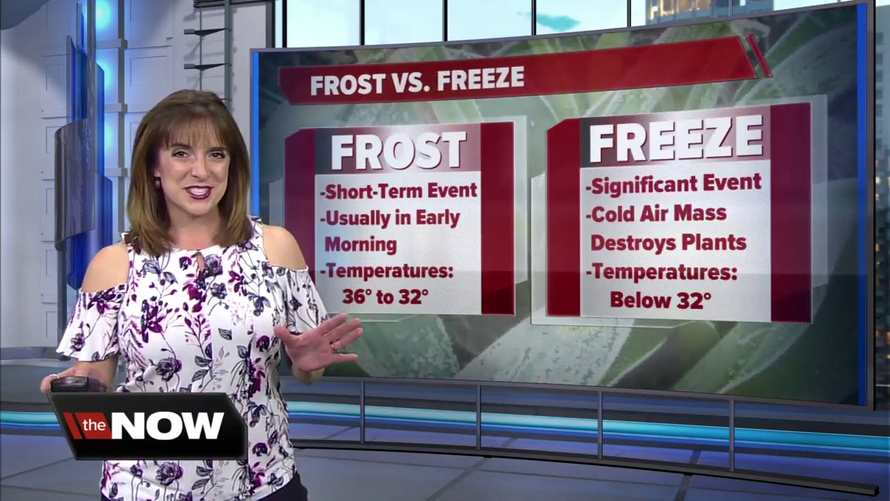 Geeking Out: Frost Vs. Freeze - YouTube