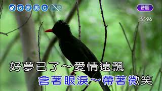 含淚的微笑~余天~男原G調~伴奏~導唱1顆丙