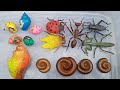 Hunt and find colorful hermit crabs, millipedes, big ants, beetles, grasshoppers