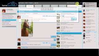 Horsecount: Community