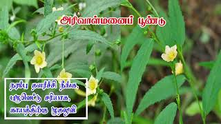 அரிவாள்மனைப் பூண்டு பயன்கள் | Siththarkal Ulagam