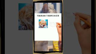 你的猫有这种呕吐吗？铲粪官一定要注意#猫#猫#喵星#可爱宠物#猫吐#科普知识