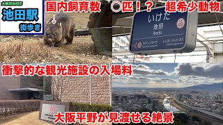 【駅から散策】インスタントラーメン発祥の地/日本じゃ滅多に見れない希少な動物/お金を取らなさすぎる観光施設/大阪府池田市/池田駅〜駅周辺散策【旅行・街歩き】