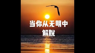 201804 当你从无明中解脱20894