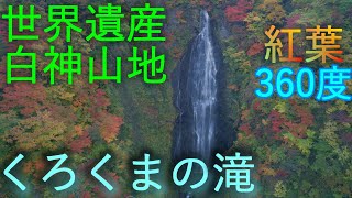 【くろくまの滝】第1の滝 白神山地【青森県鰺ヶ沢町】360度 4K60P