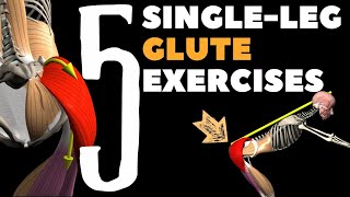 5 Single-leg Glute exercises | Watch all active muscles
