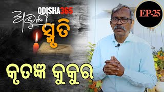 Abhula Smruti 25 | କୃତଜ୍ଞ କୁକୁର | Baishnaba Charan Mohanty | Odisha365