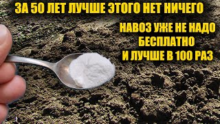 1 Ложку на ведро воды и земля как новая, пролейте этим землю осенью для обильного урожая всего!