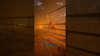 California firefighter hops fence to rescue trapped horse