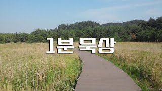 [1분 묵상] \