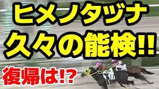 【2022/10】ヒメノタヅナ久々の能力検査で好タイムをマーク【ヒカル】