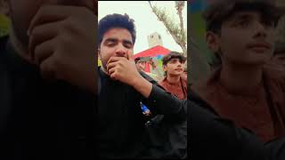 viral and vii to bjo pata chl tu agr