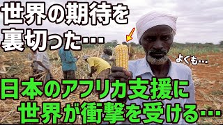 【海外の反応】世界が衝撃!!「日本に裏切られた…」日本が見せた本当に必要な支援の形とは 海外「これはアフリカの飢餓問題を解決する神の一手だ」未来を見据えた的確な支援に海外も衝撃と感動の嵐