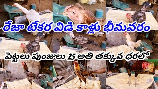 25 పుంజులు పెట్టలు 9347177377 #bhimavaram #parla #aseel #tekara #reza kollu #vidikallu #rooster