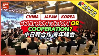 Future Alliance of China, Japan \u0026 Korea? This is How Future Generation of East Asia Like Each Other