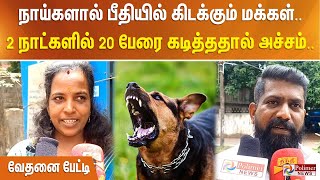 நாய்களால் பீதியில் கிடக்கும் மக்கள்.. 2 நாட்களில் 20 பேரை கடித்ததால் அச்சம்.. வேதனை பேட்டி